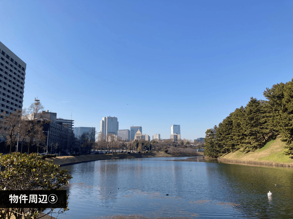 mainImage-3