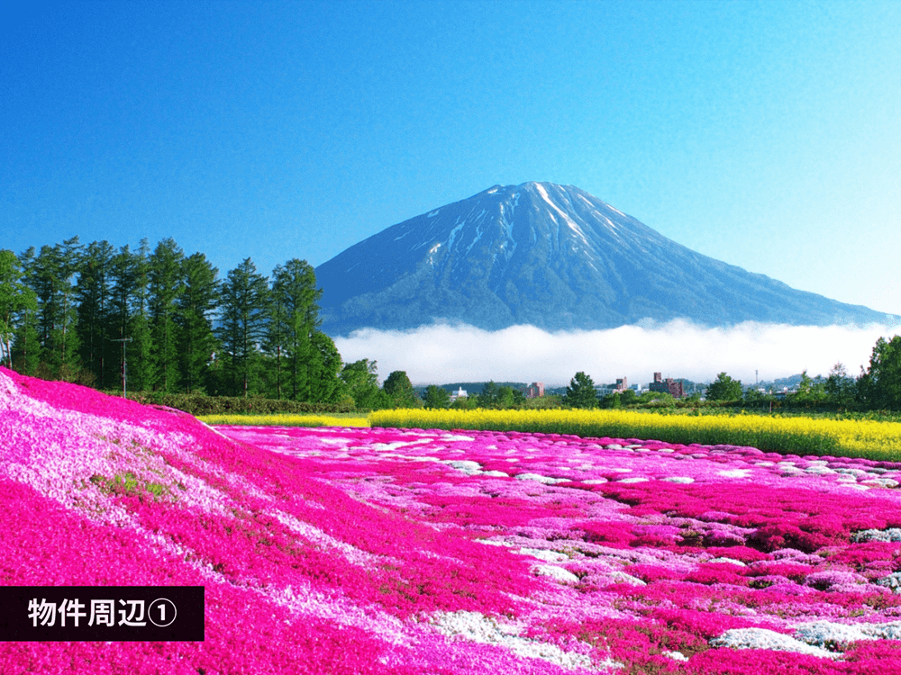 mainImage-3