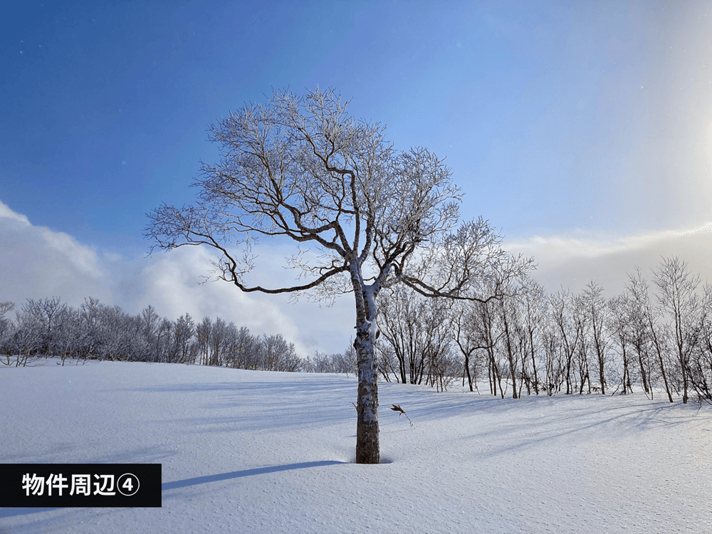 mainImage-6