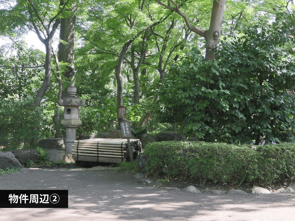 mainImage-3
