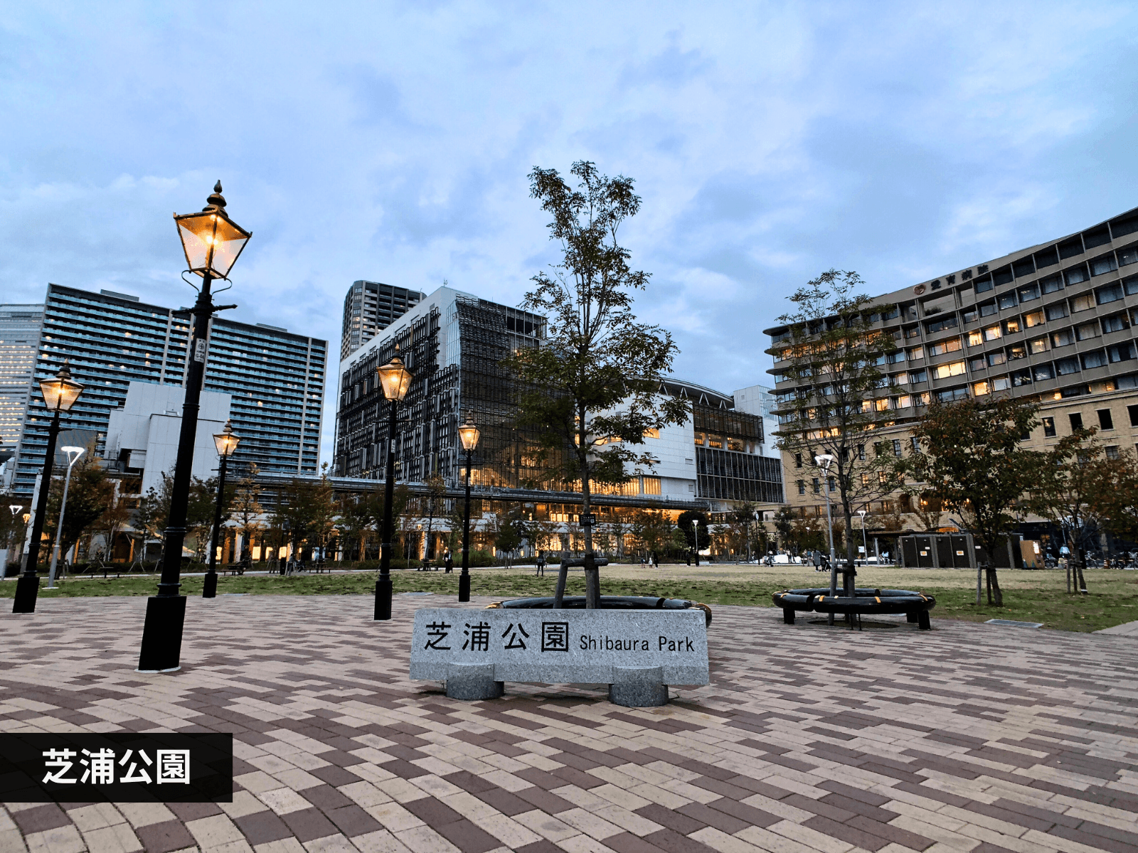 mainImage-8