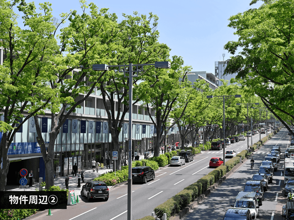 mainImage-7