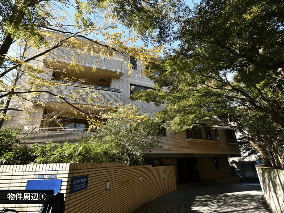 mainImage-1