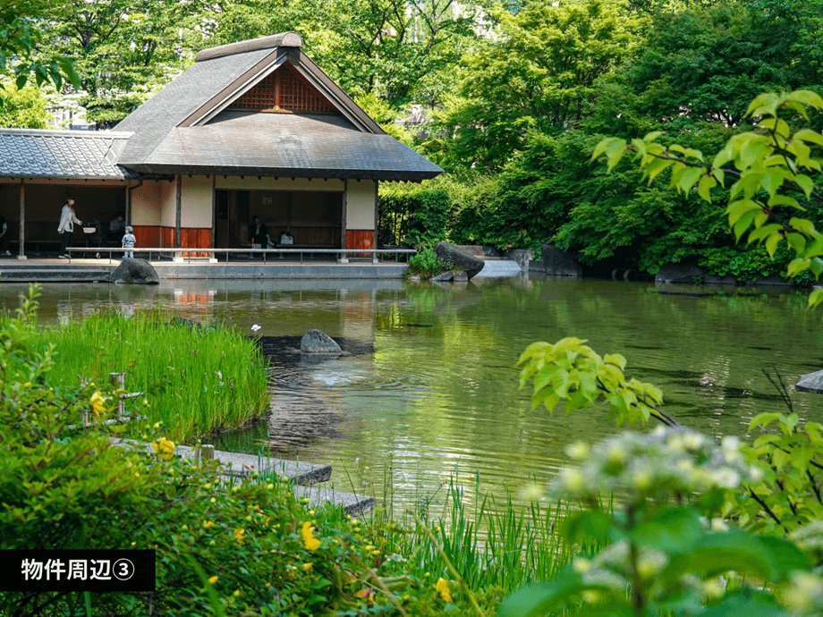 mainImage-3