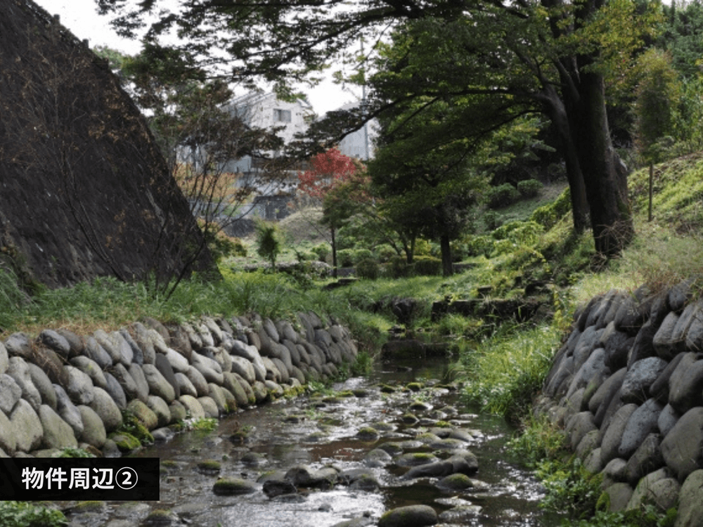 mainImage-2