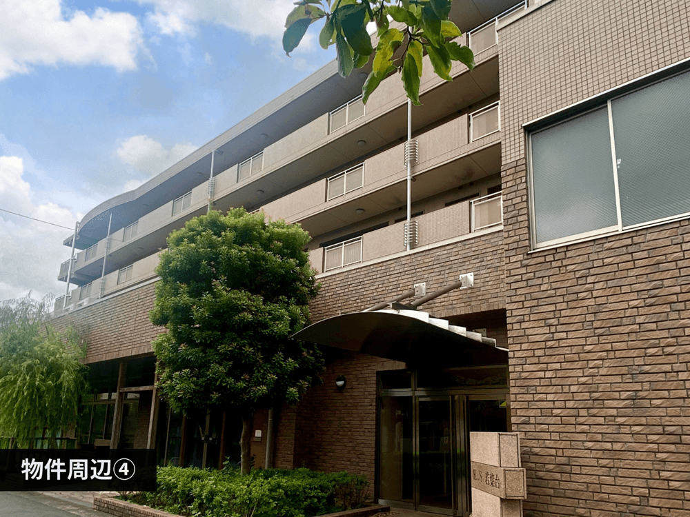 mainImage-4