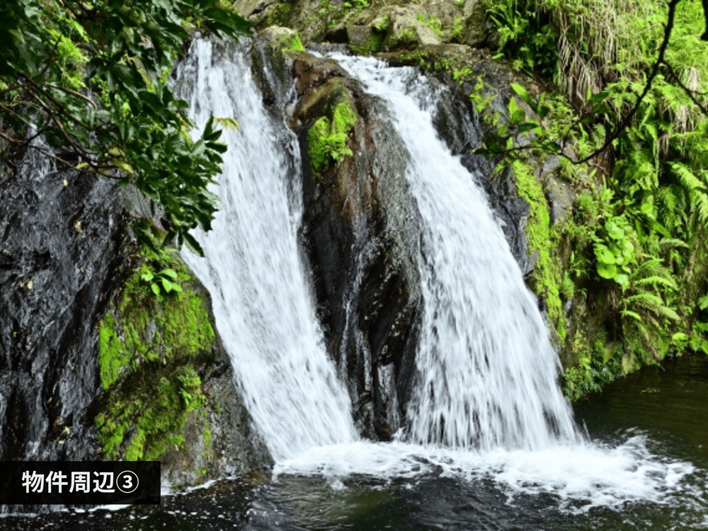 mainImage-3