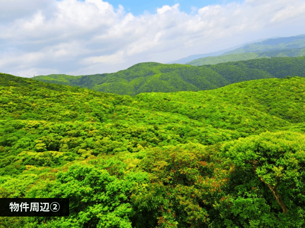 mainImage-2