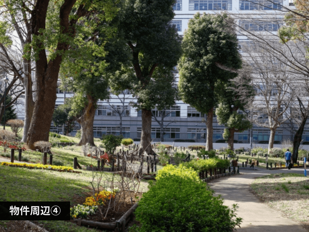 mainImage-4