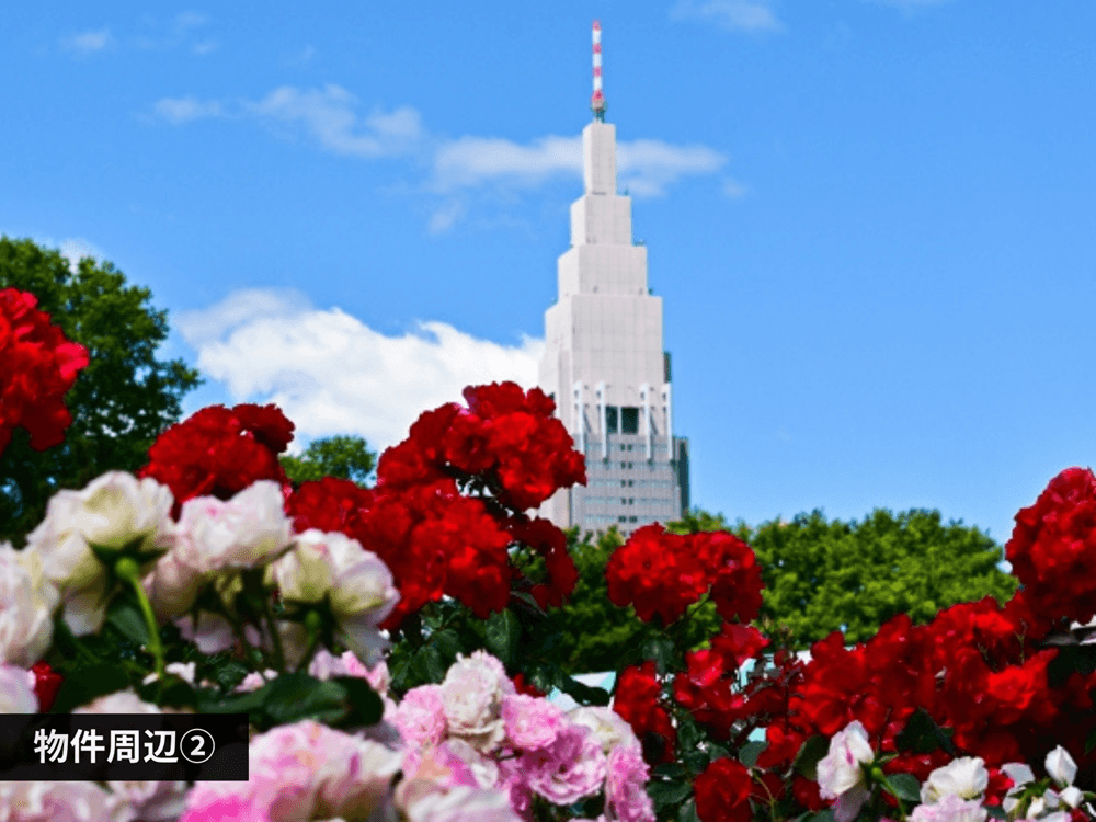 mainImage-2