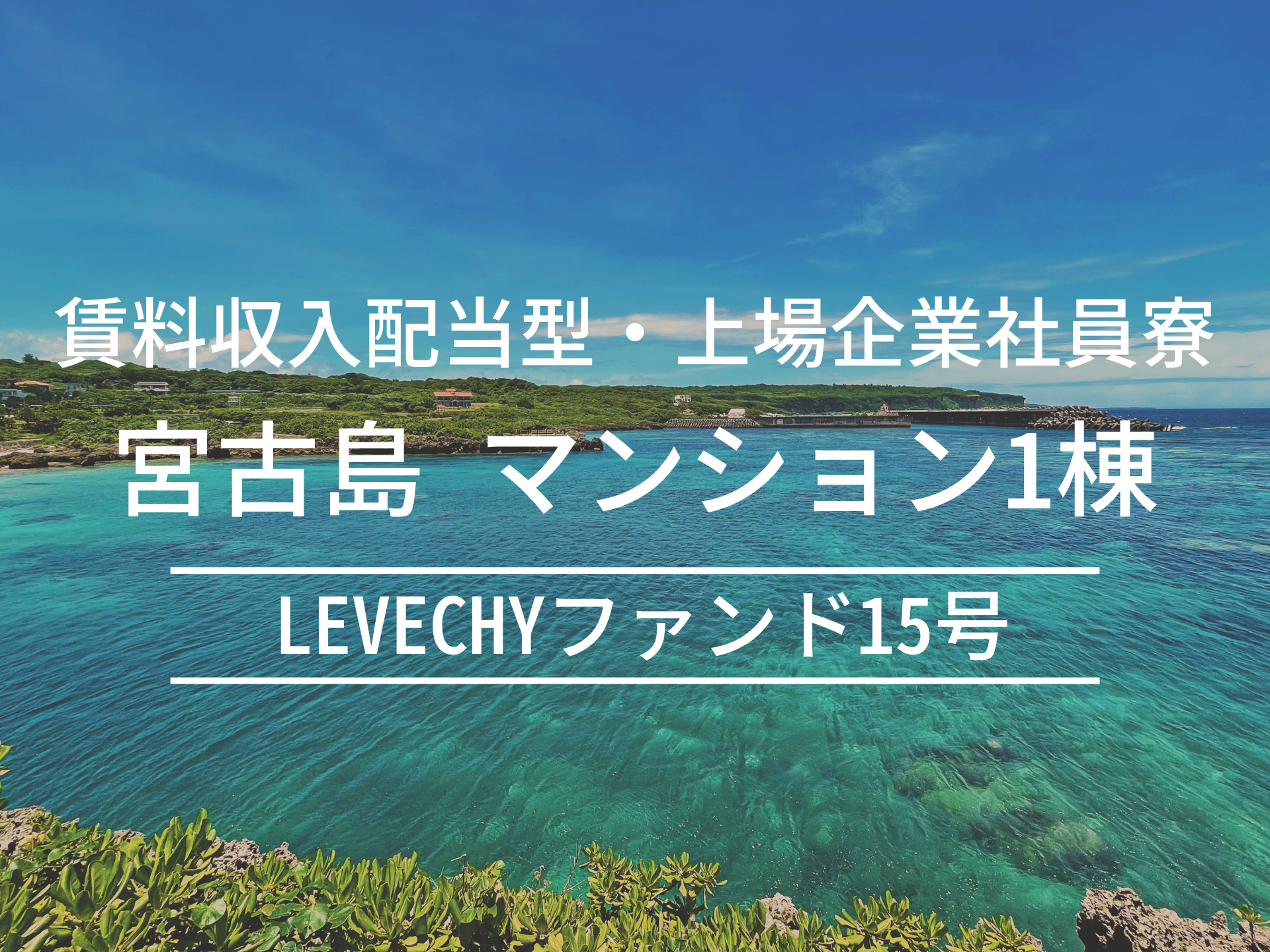 LEVECHYファンド15号（抽選式）